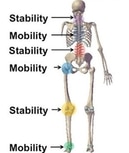 stability and mobility for joint care in charlotte nc